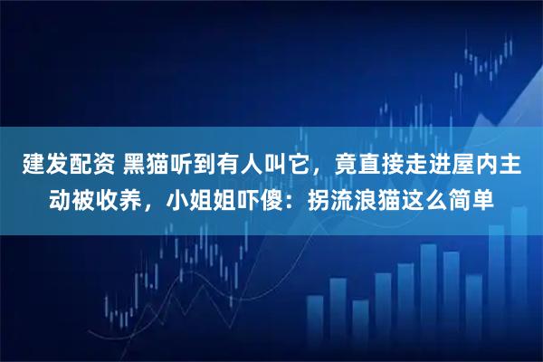建发配资 黑猫听到有人叫它，竟直接走进屋内主动被收养，小姐姐吓傻：拐流浪猫这么简单