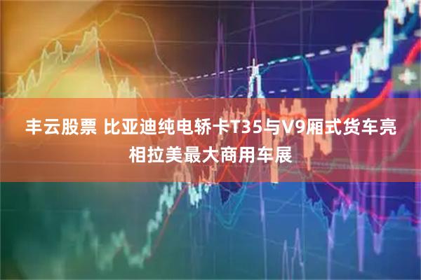 丰云股票 比亚迪纯电轿卡T35与V9厢式货车亮相拉美最大商用车展